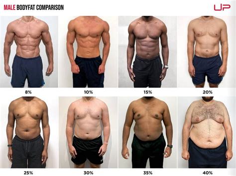 body fat percentage photos|visual body fat percentage chart.